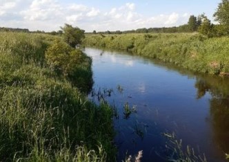 działka na sprzedaż - Narewka, Eliaszuki, Porosłe