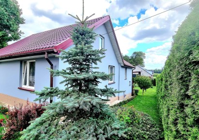 dom na sprzedaż - Turośń Kościelna, Iwanówka