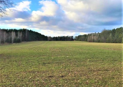 działka na sprzedaż - Michałowo (gw), Tylwica