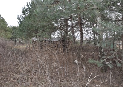 działka na sprzedaż - Zabłudów (gw), Kuriany